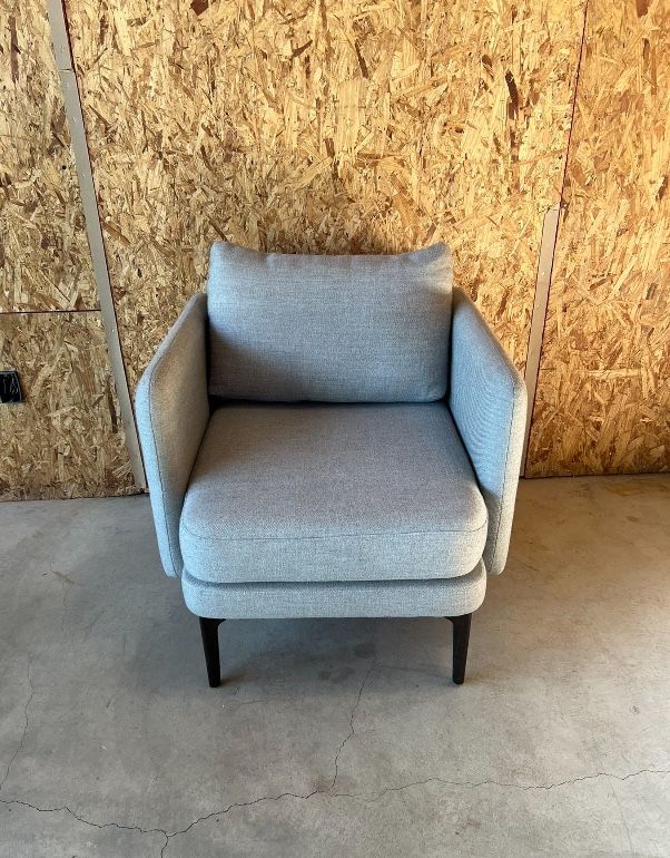 West Elm Armchair/Lounge Chair/Accent Chair