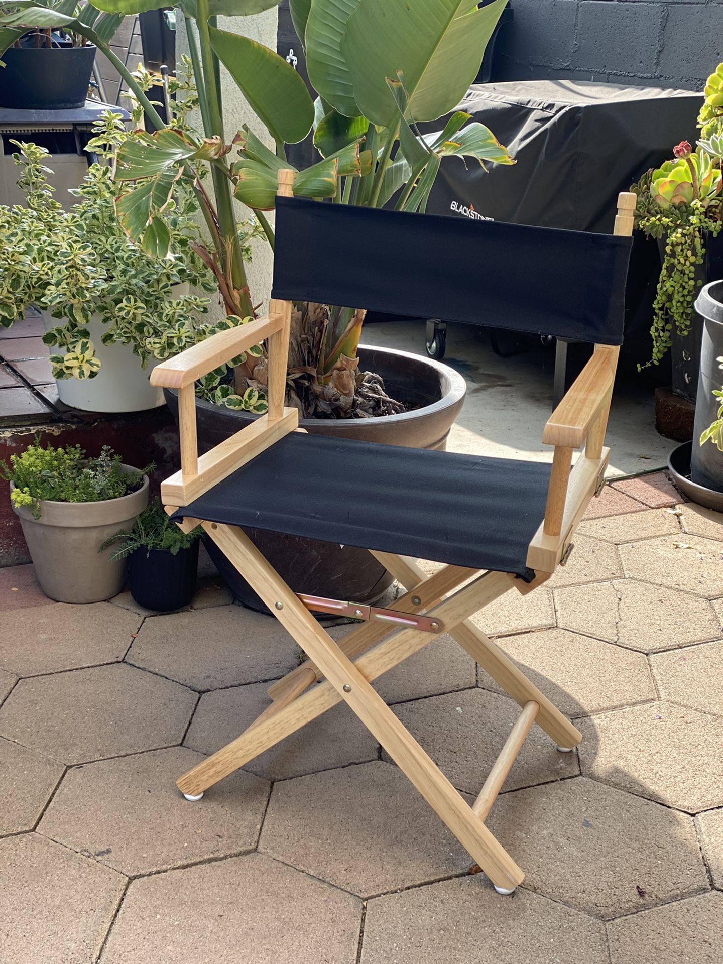 Director’s Chair 