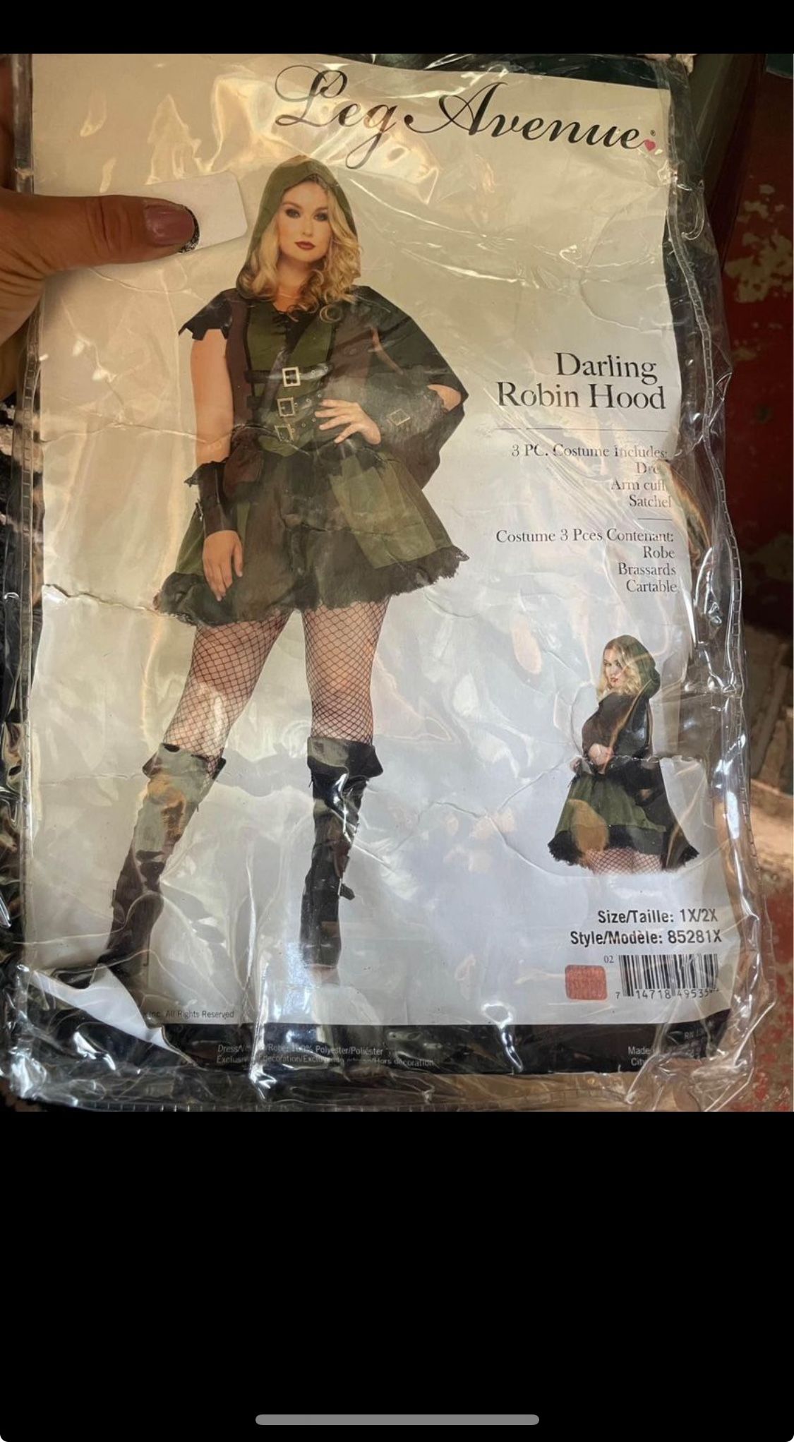 Robin Hood Halloween costume