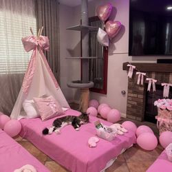 Coquette Pink Bow Sleepover Tents