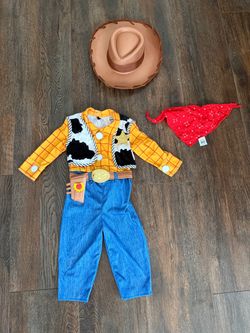 Toy Story costume