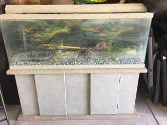 Fish tank