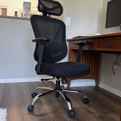 Ergonomic Mesh Office / Home Chair
