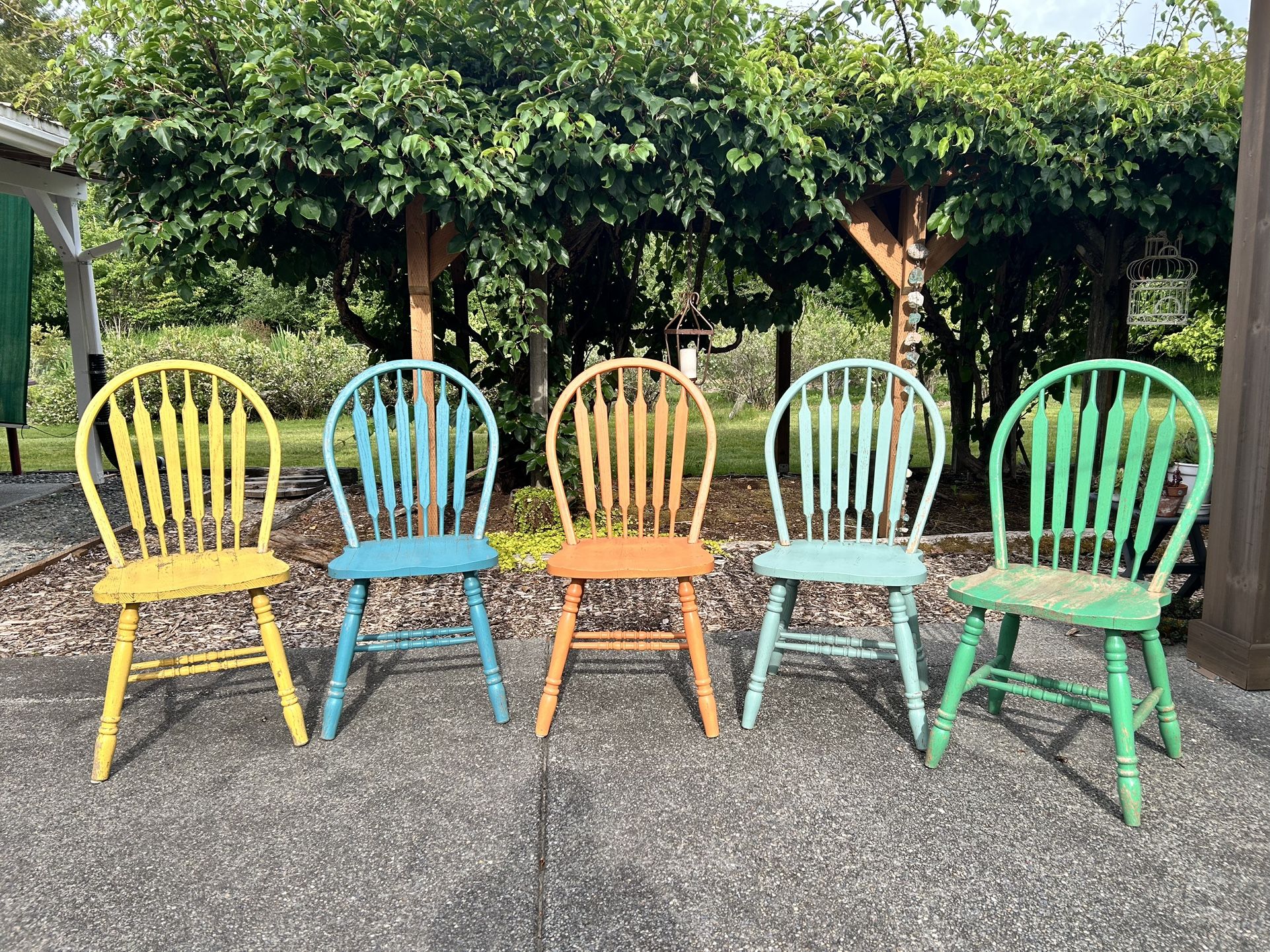 5 Chippy Oak Dining Chairs