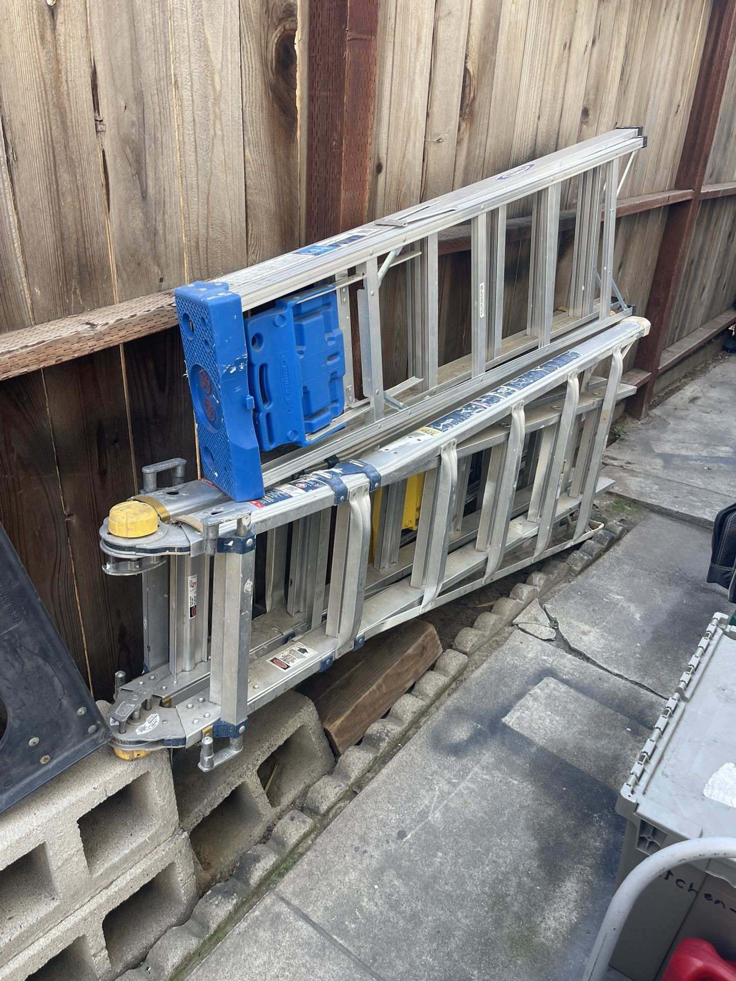 Ladder In Great Condition