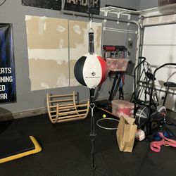 Double End Punching Bag 
