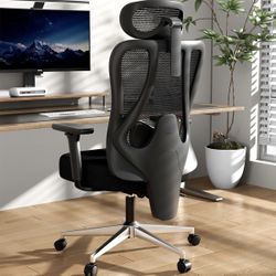 Hbada P3 Pro Ergonomic Office Chair