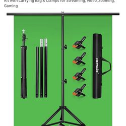 Heysliy Green screen with stand