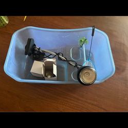 Baby Turtle  Aquarium 