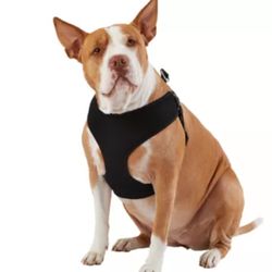 HEAD Mesh Comfort Dog Harness - Black - Medium (M) - Breathable Soft Mesh 