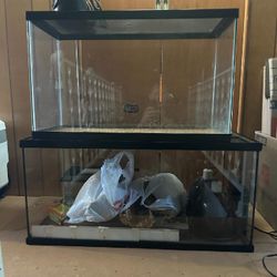 Reptile Tanks (2) & Related Equipment (heat lamps, etc)