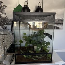 THRIVE TROPICAL REPTILE TERRARIUM ESSENTIALS KIT - 30 Gallon