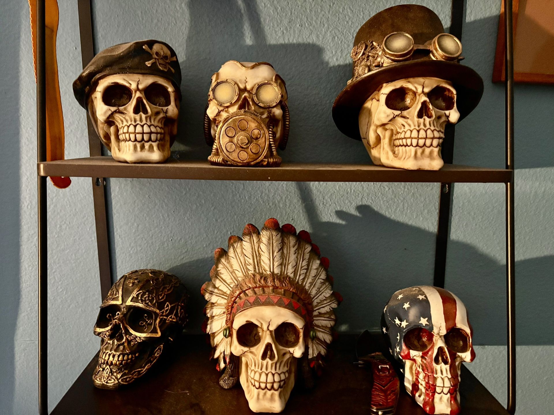 Decorative Skull Collection