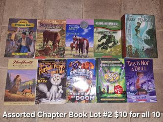 Assorted Chapter Book Lot #2