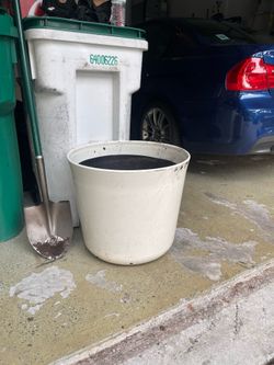 Giant Flower Pot