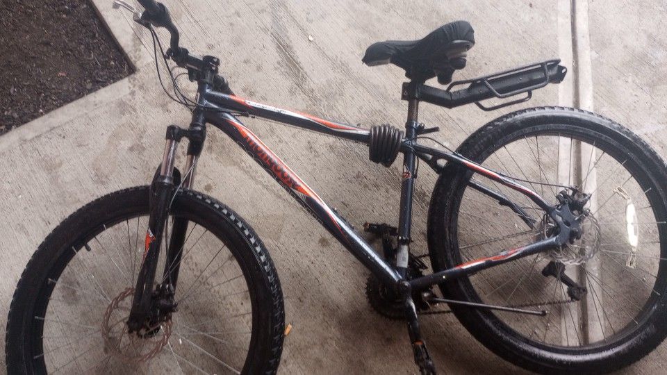 Fat Tire Mongoose Mountain Bike