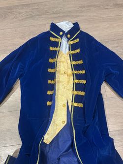 Adult beauty & beast costume