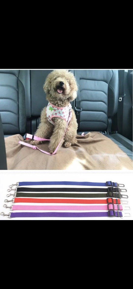 Pet Cat Dog Vehicle Leash