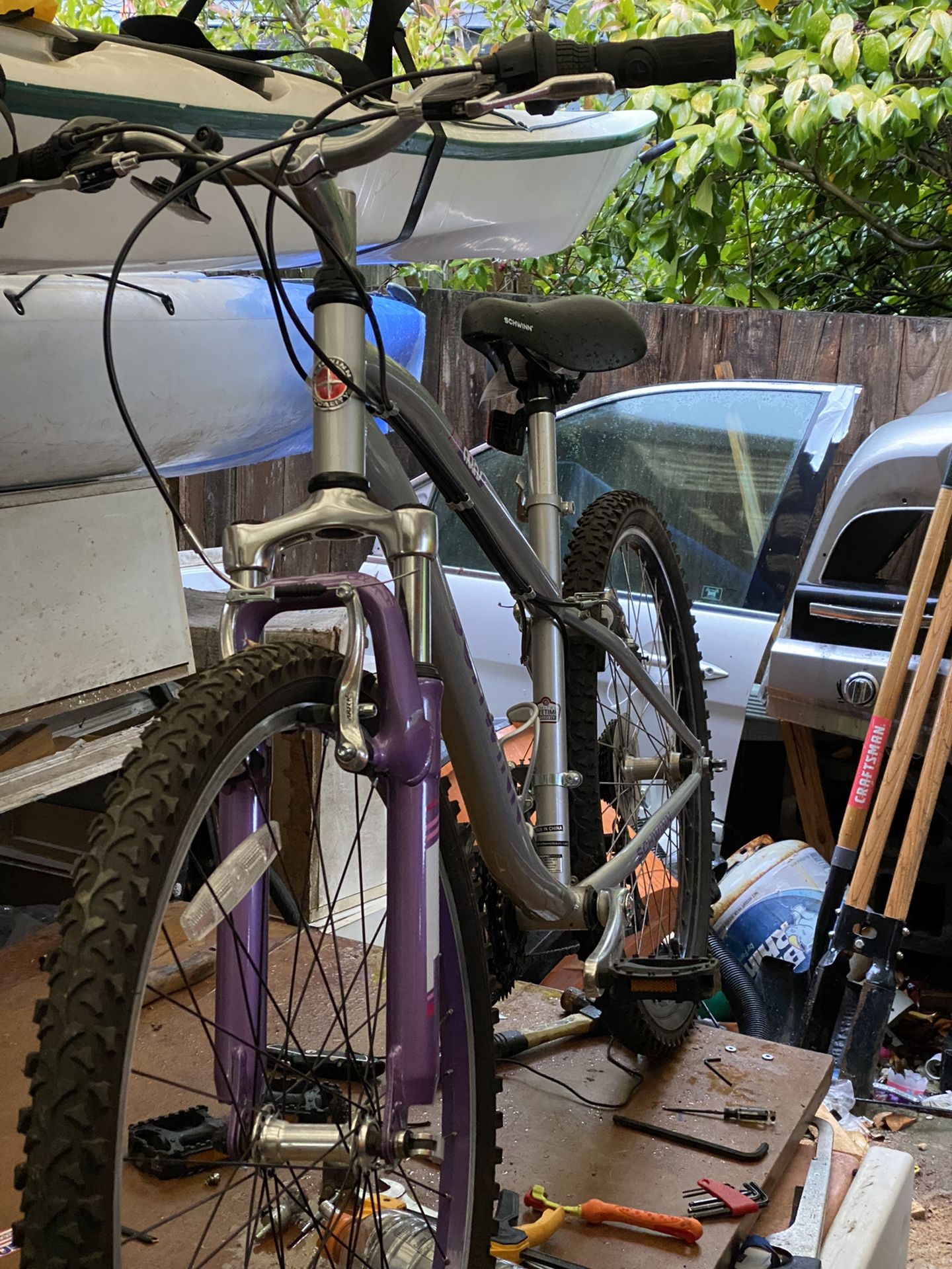 schwinn atlas 26 women's