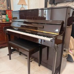 Pearl river Walnut Upright Piano