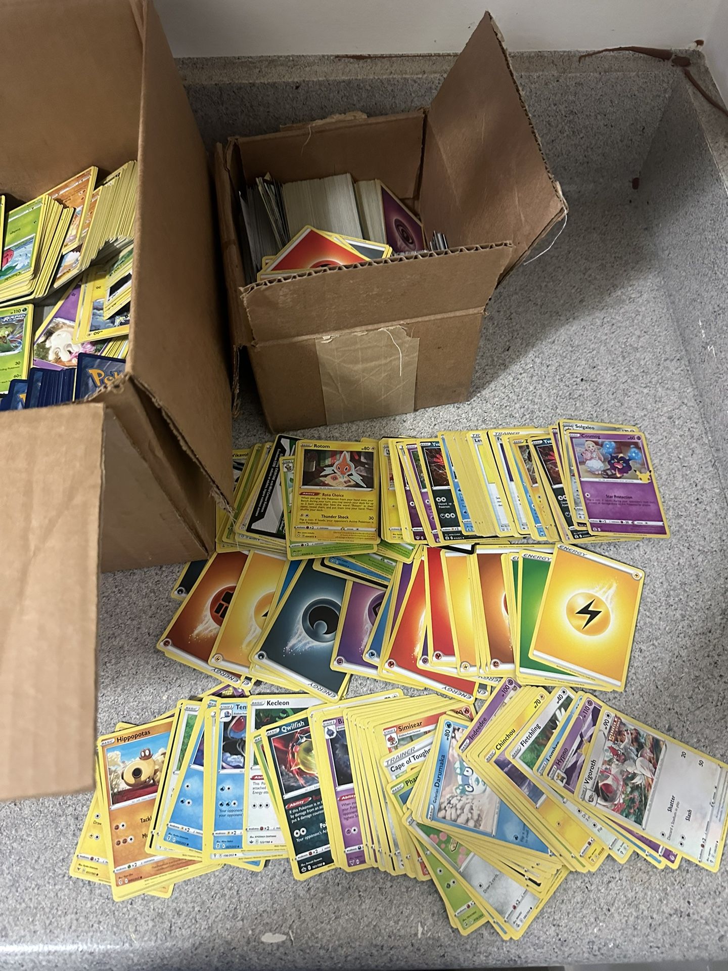 Pokemon Cards