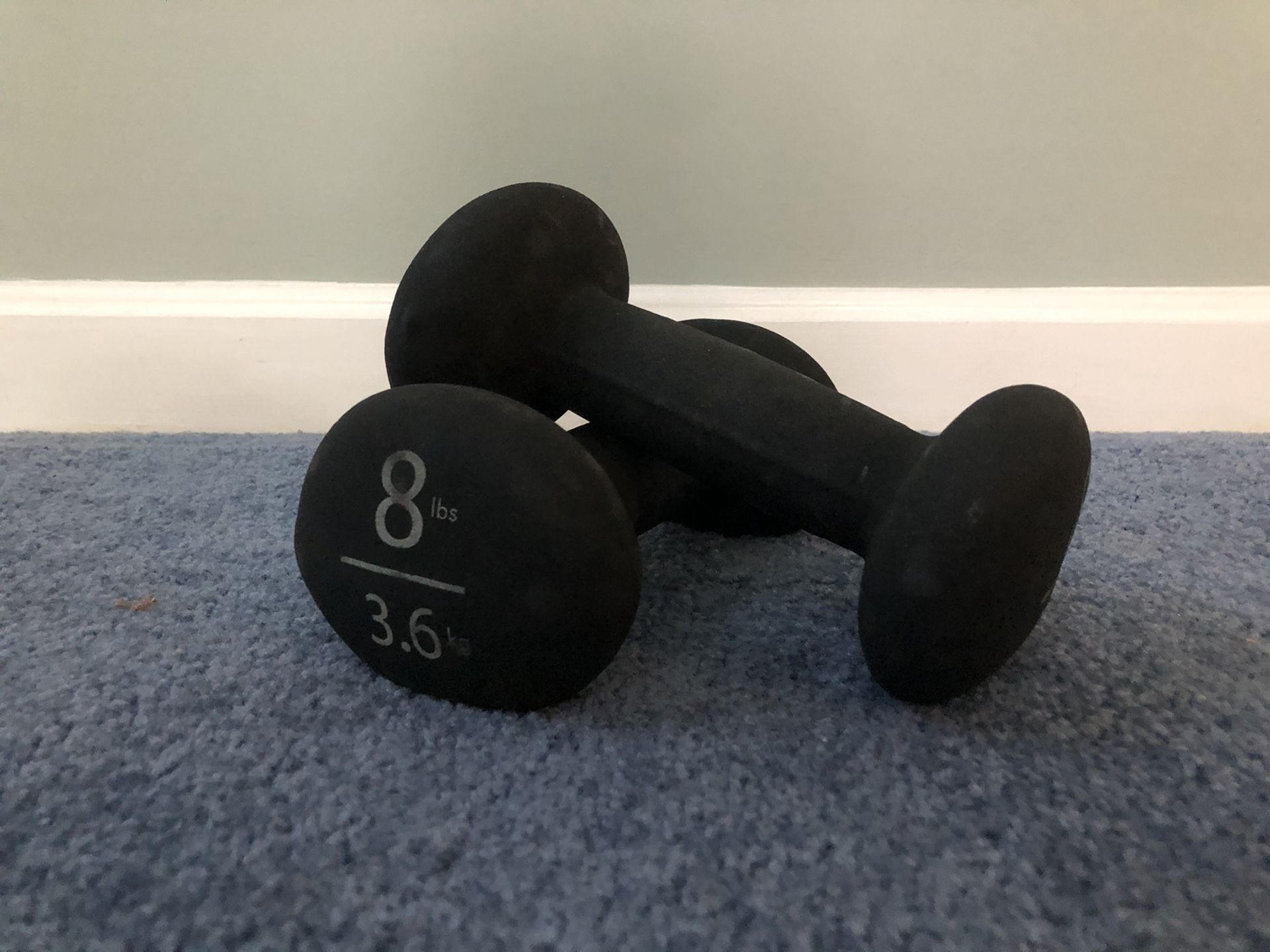 8lb Dumbbell (come in pairs)