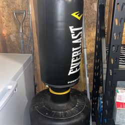 Everlast punching bag