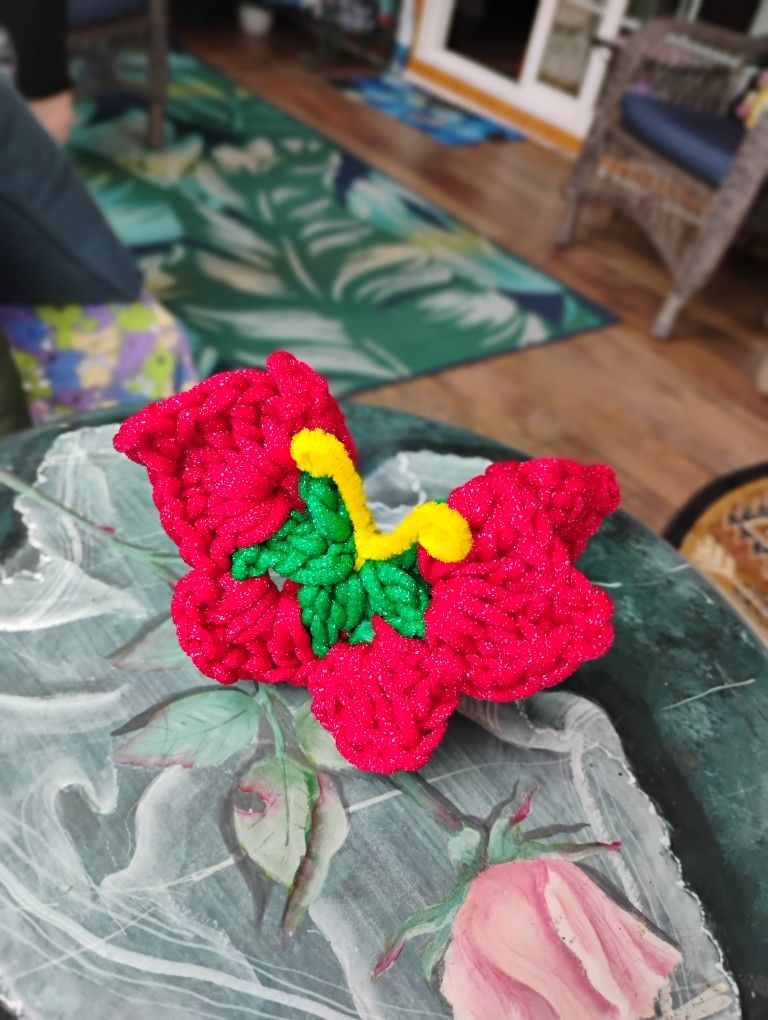 Butterfly Scrubbies