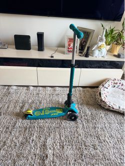 Micro maxi scooter