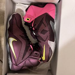 Lebron clearance 12s purple