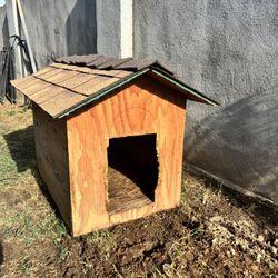 Outdoor Dog House
