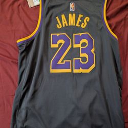 Nike LA Lakers Lebron James Swingman Earned Edition Jersey