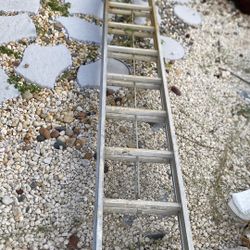 Ladder