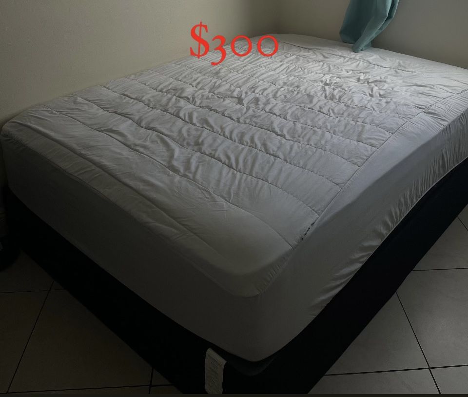 Queen Mattress With Box