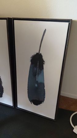 Framed Feather Wall Art - Used