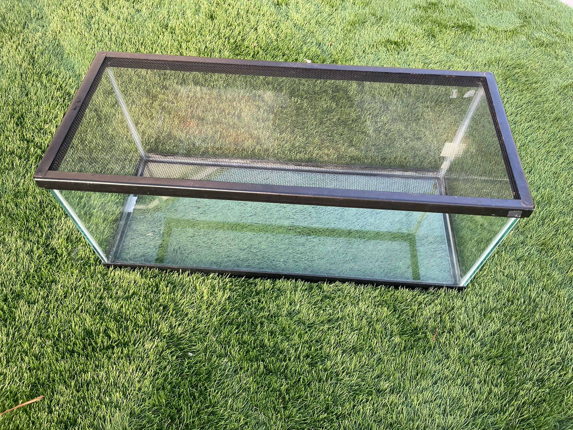 20 Gallon Long Tank with Screen Top for Sale in San Diego, CA - OfferUp