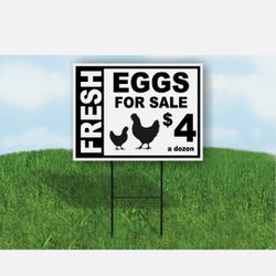 Fresh eggs for sale