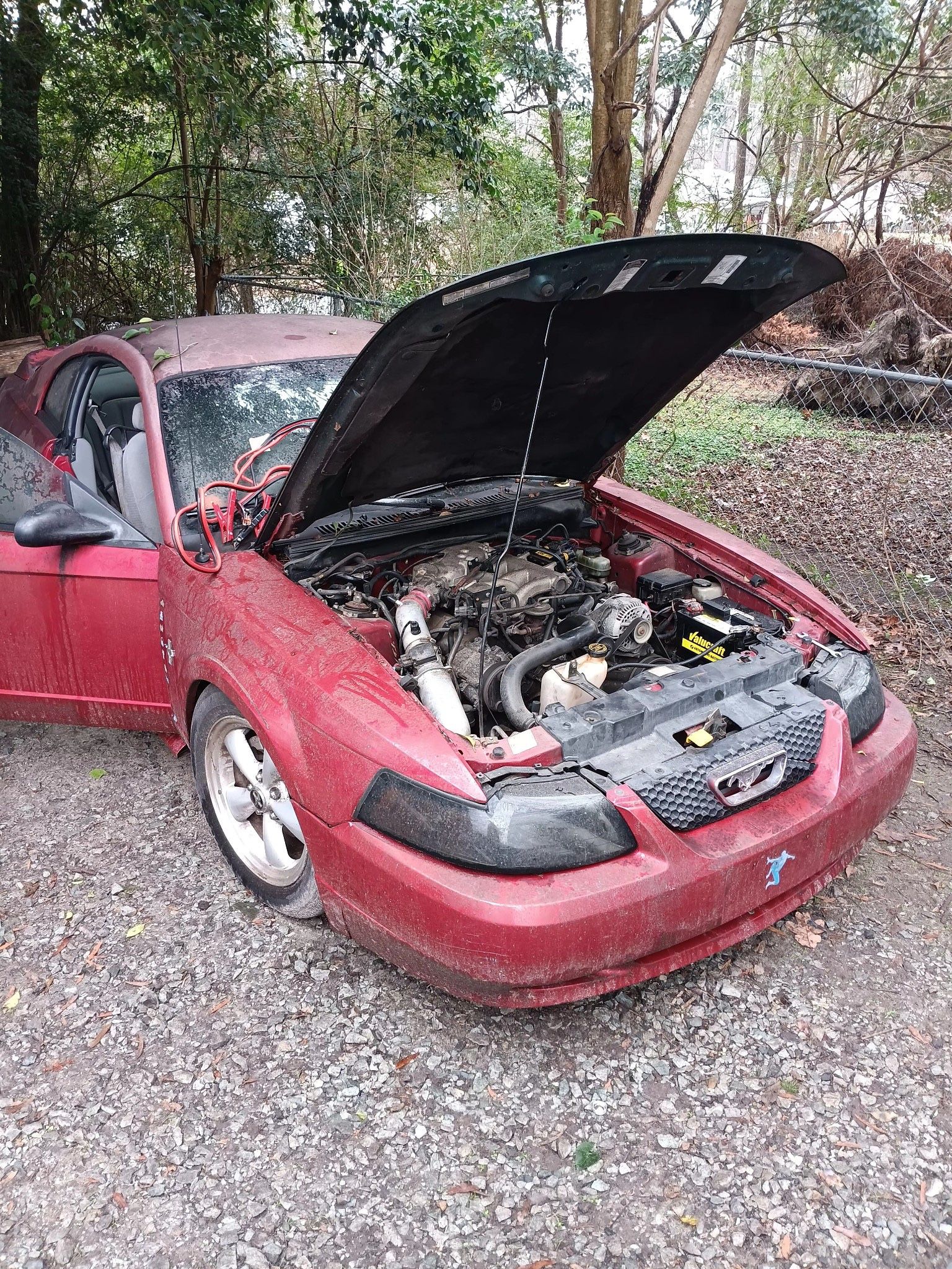 2002 Ford Mustang