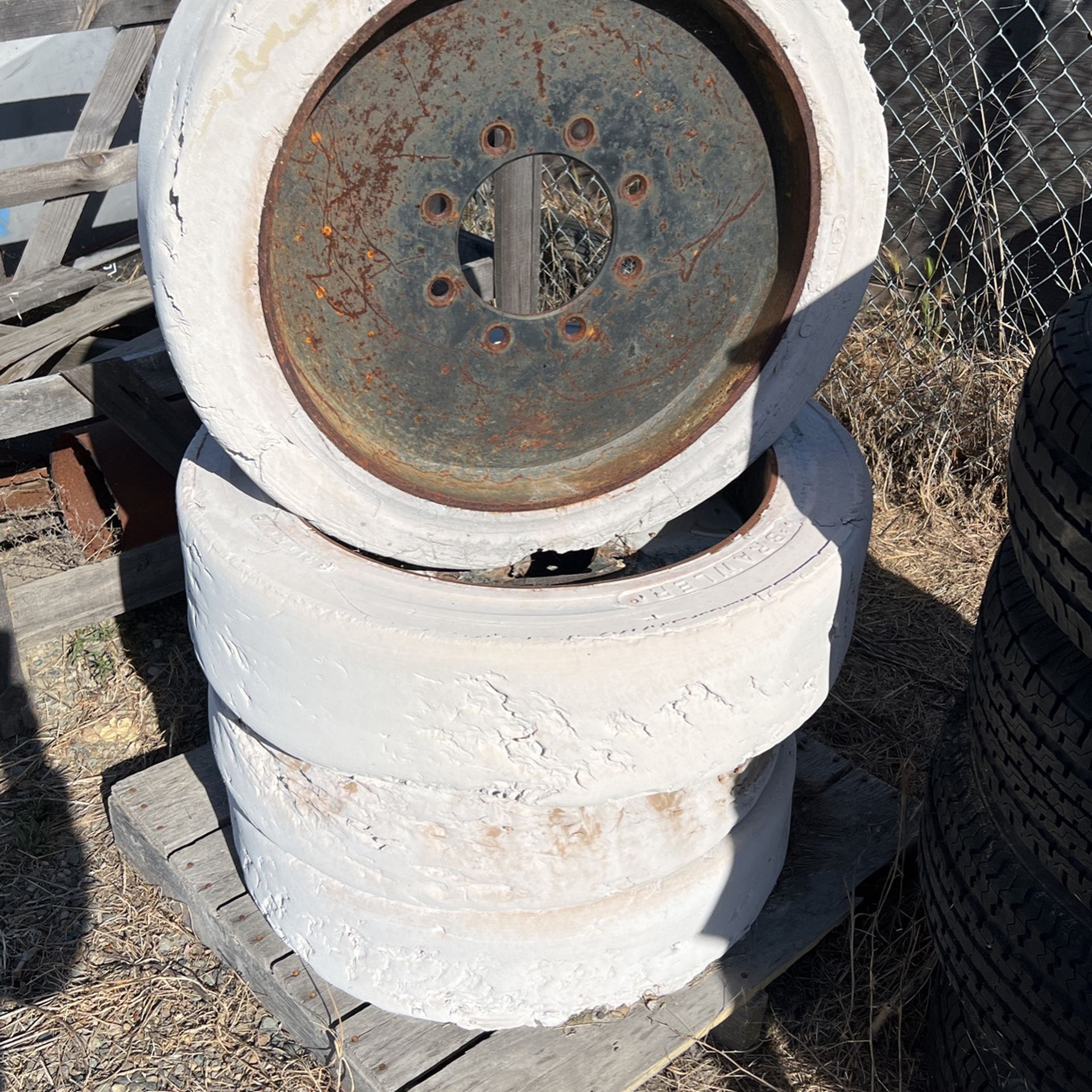 Bobcat Tires