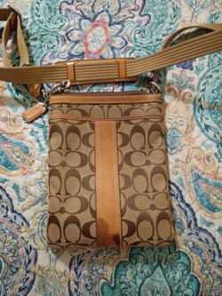 Purse/crossbody