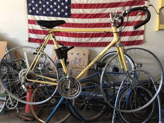 Vintage Schwinn World Traveler 