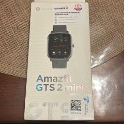 Amazfit Gts 2 Mini 
