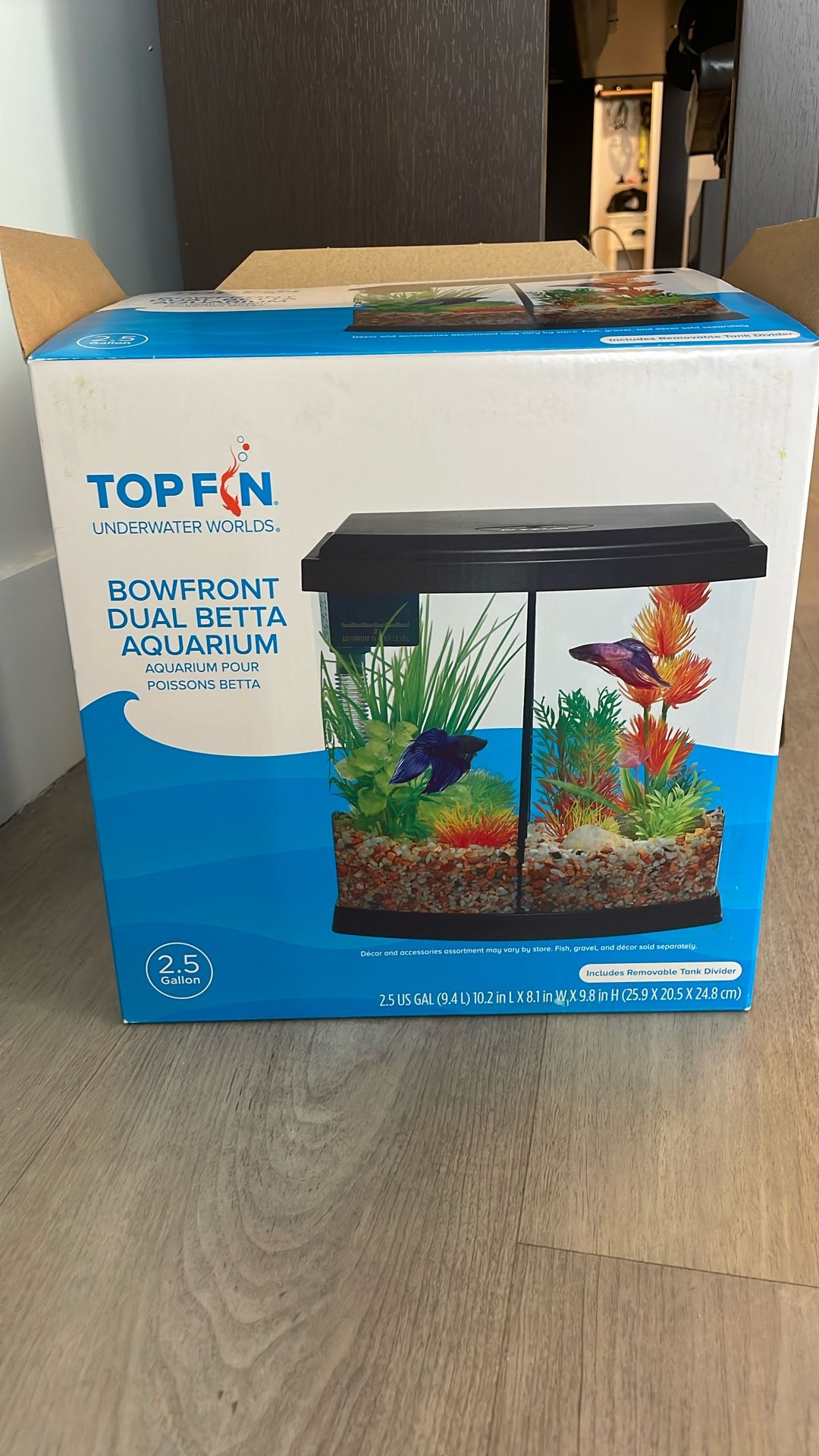 Betta Aquarium 