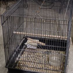 Bird Cage