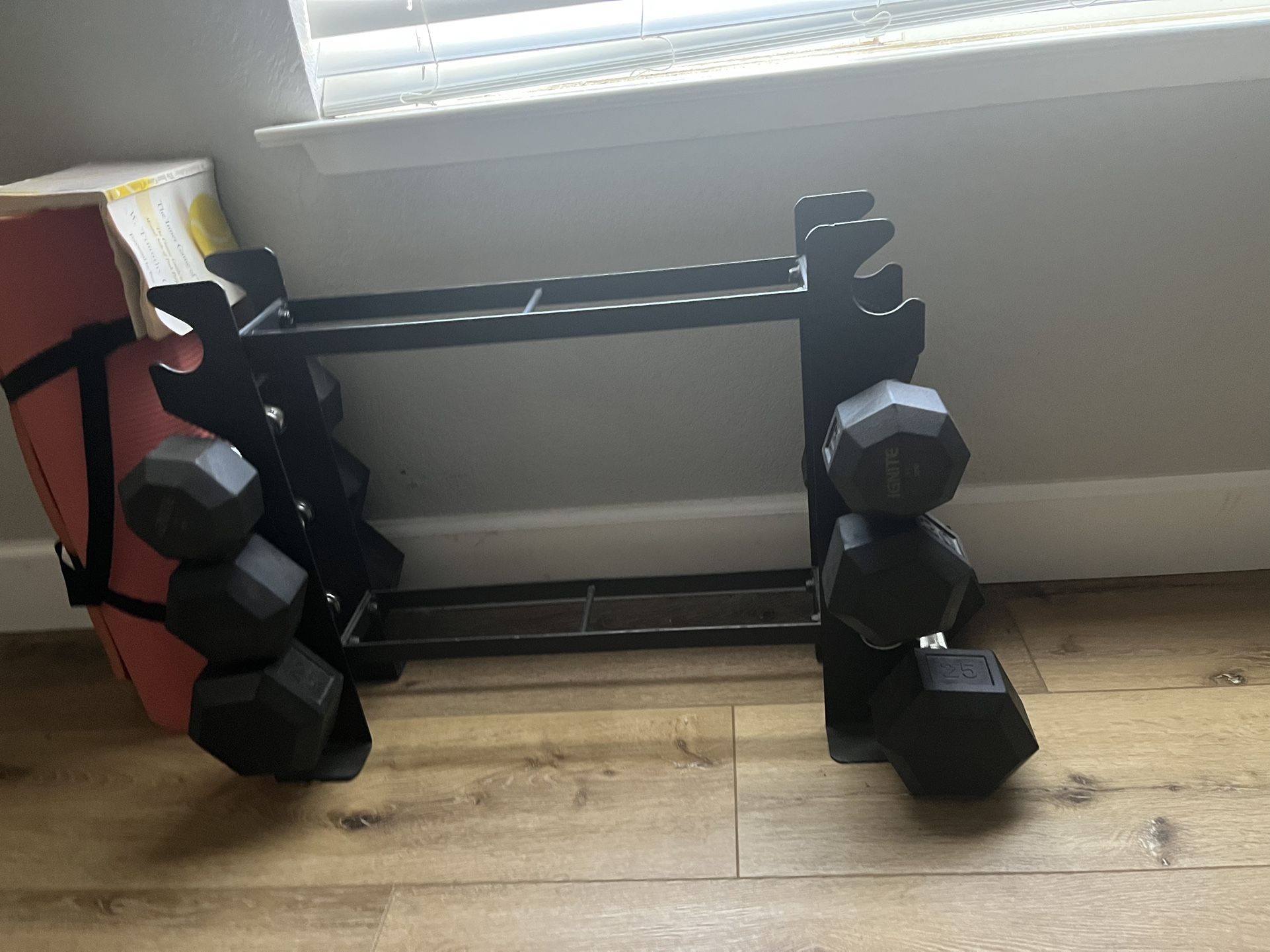 Dumbbell Set