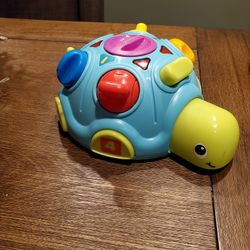 Animated Turtle. Needs Batteries 
