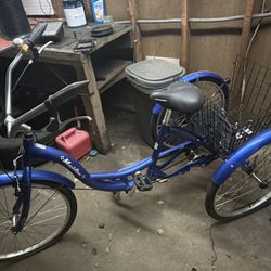 Meridian Schwinn 3 Wheel Trike 