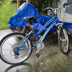 Men’s Schwinn Mountain bike