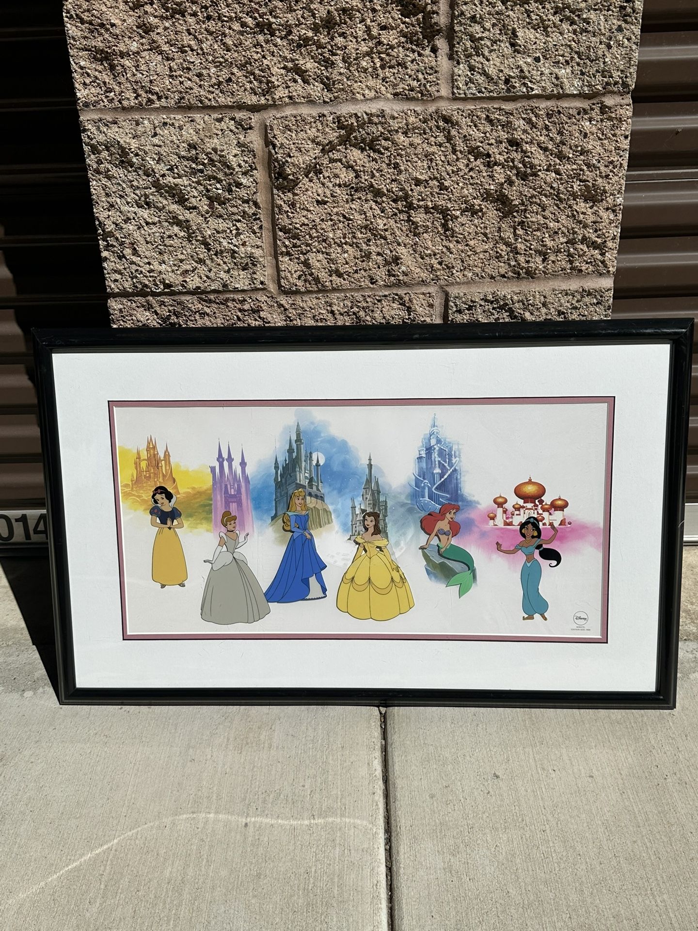 Disney Photo