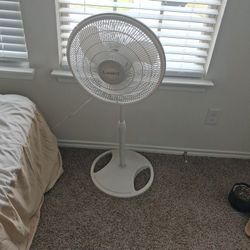Standing Fan